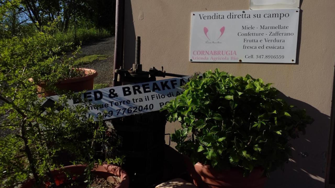 Cinque Terre Tra Il Filo Di Arianna Riccò del Golfo di Spezia Exterior foto